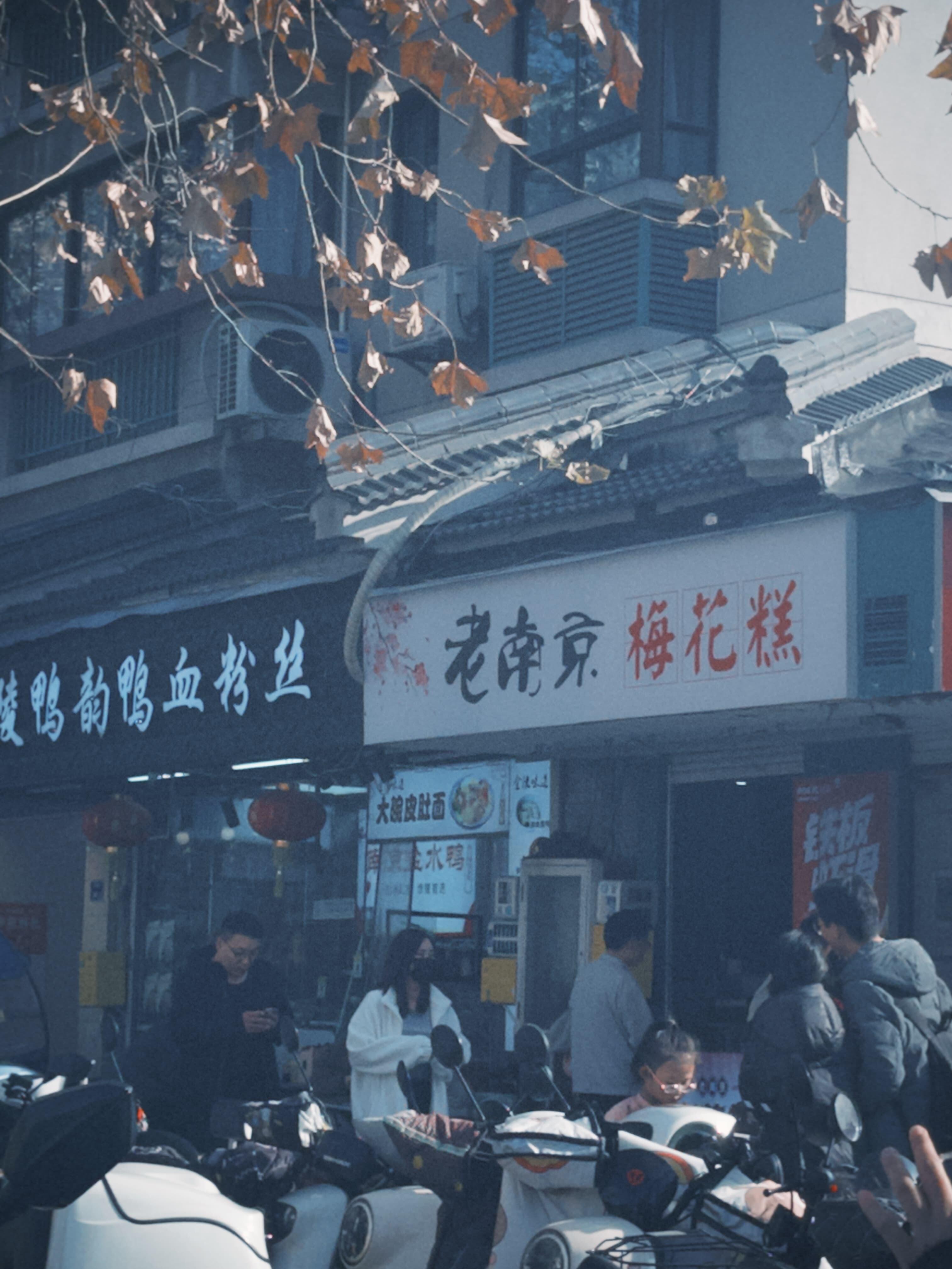 Authentic Old Nanjing Plum Blossom Cake